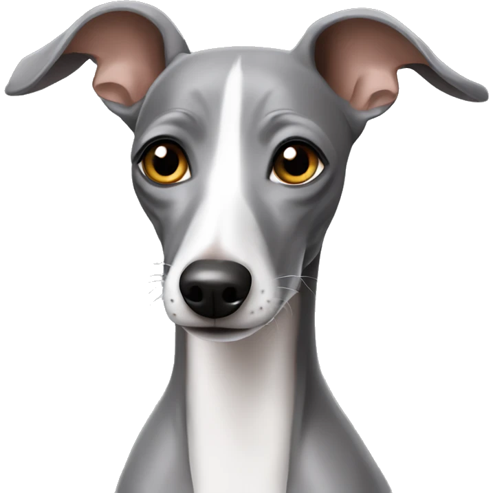 Grey Italian greyhound  emoji