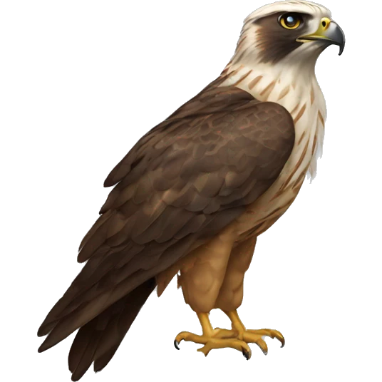 Hawk tooey emoji