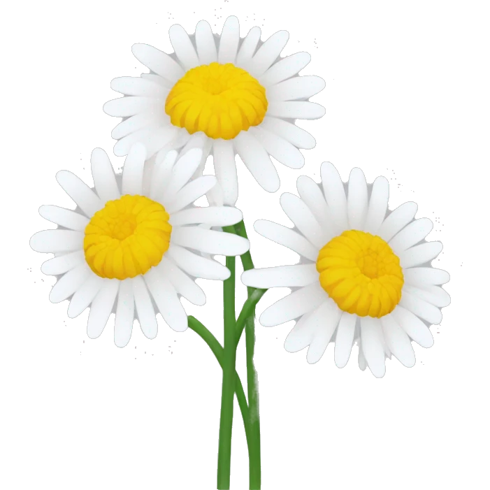 White Chrysanthemum emoji