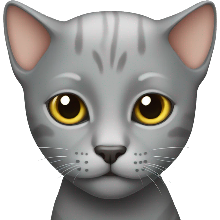 bald gray cat emoji