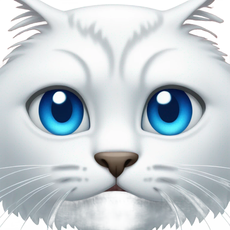 Angry White cat with blue eyes  emoji