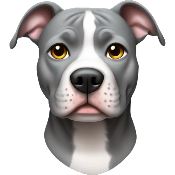 Grey pitbull  emoji