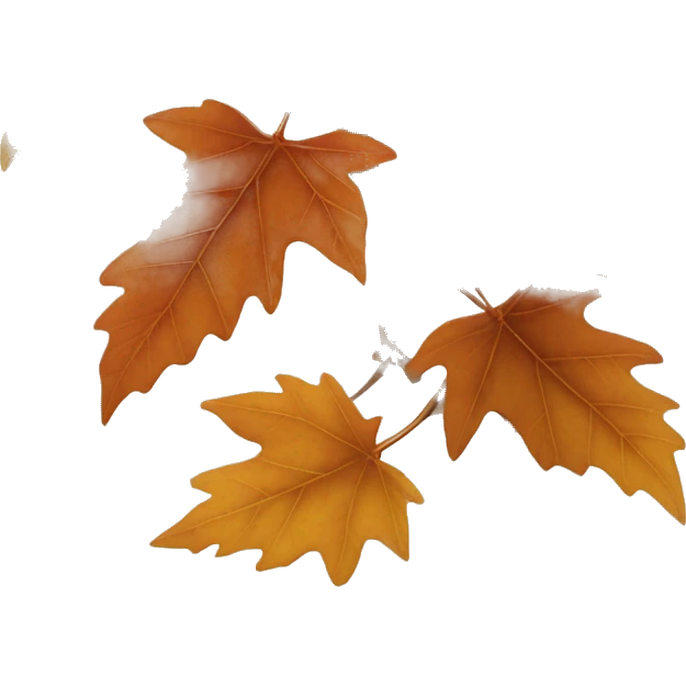 autumn leaf of korean tree emoji