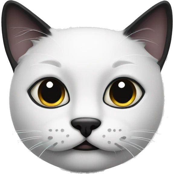 white Black cat with a black mustache  emoji