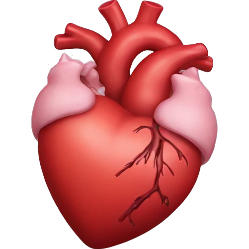 Anatomically correct heart emoji