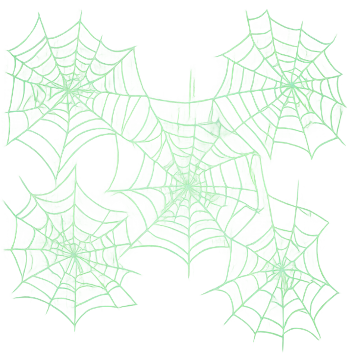 💚🕸️ emoji