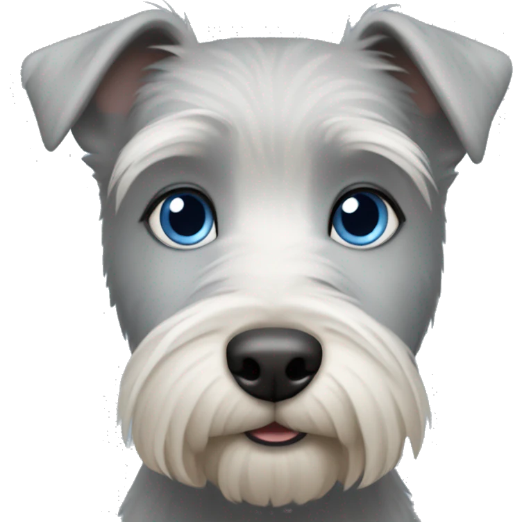 Grey terrier  blue eyes  emoji