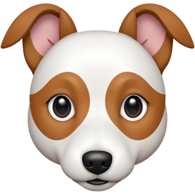 a fully white jack russell the size of a kelpie with floppy ears and a half white face emoji