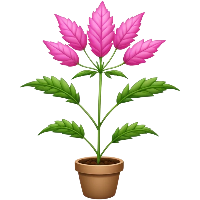 Pink weed plant emoji