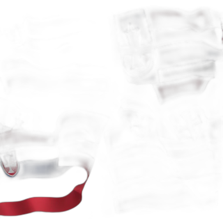 Slovakia flag emoji
