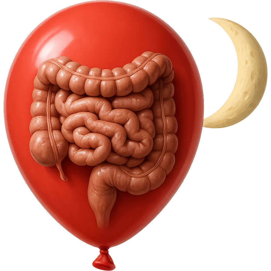 intestino umano anatomico chiuso in un palloncino rosso che simboleggia gonfiore, accanto una mezza luna che simboleggia "gonfiori di sera", iperrealistico 4k emoji