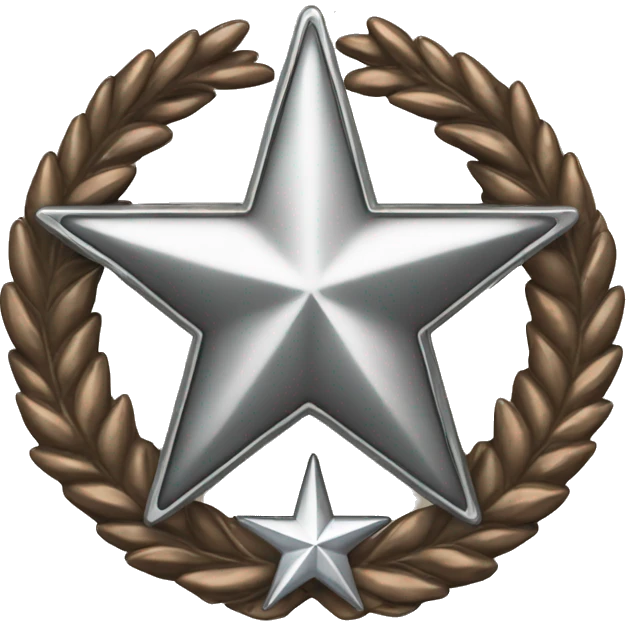 Bronze military badge with a silver star and a wreathe emoji