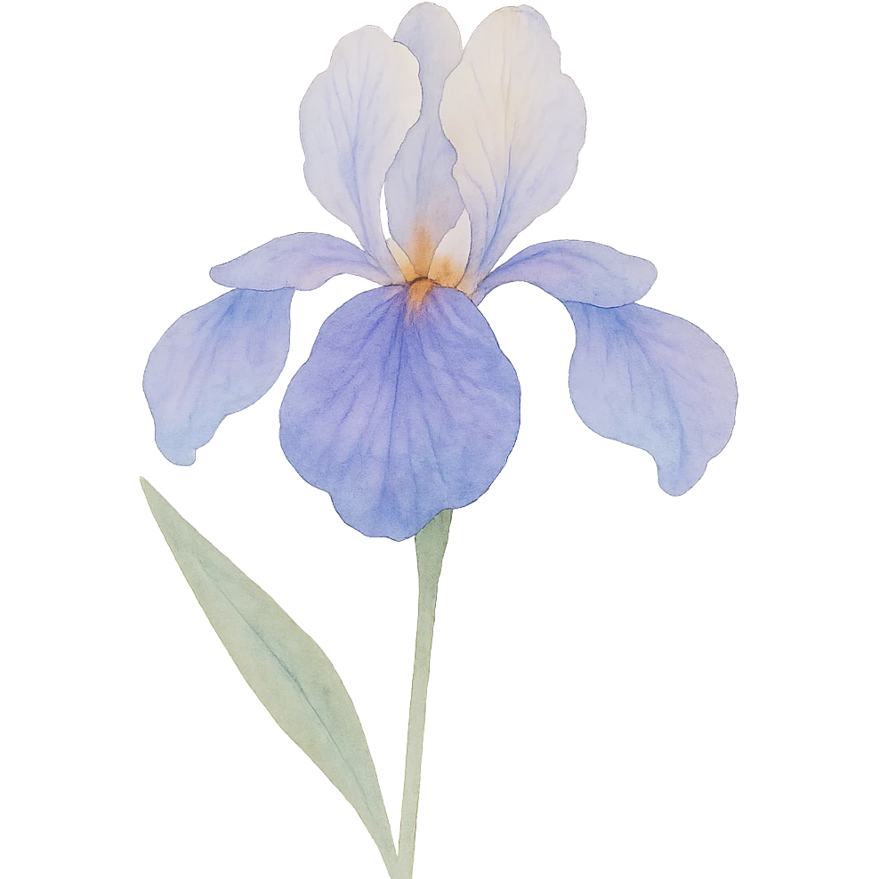 very detailed iris flower, delicate petals, vibrant purples and blues, soft gradients, realistic botanical details emoji