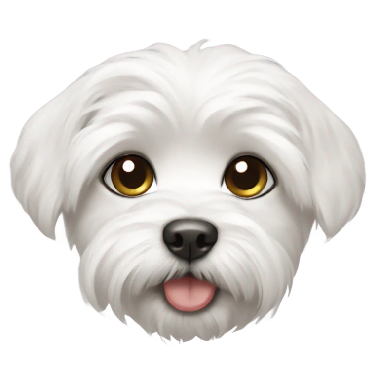 Maltese puppy  emoji