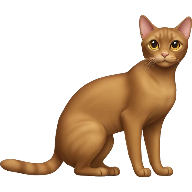 havana brown Cat Full Body emoji