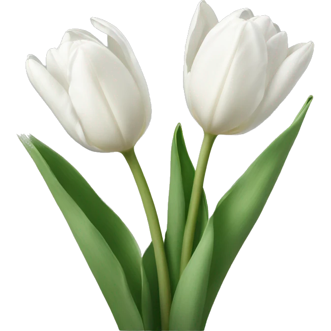 white tulips  emoji