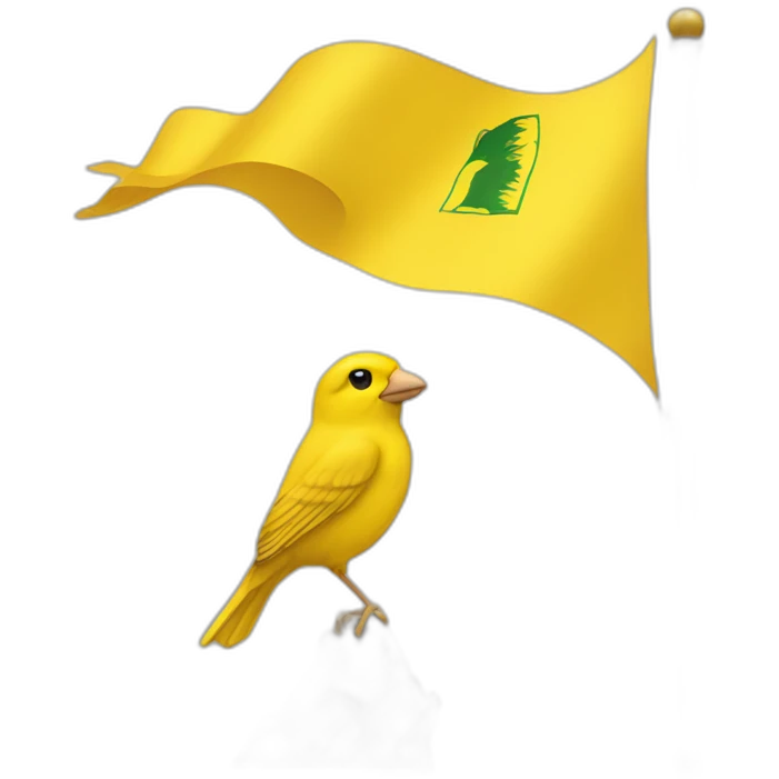 Canary flag emoji