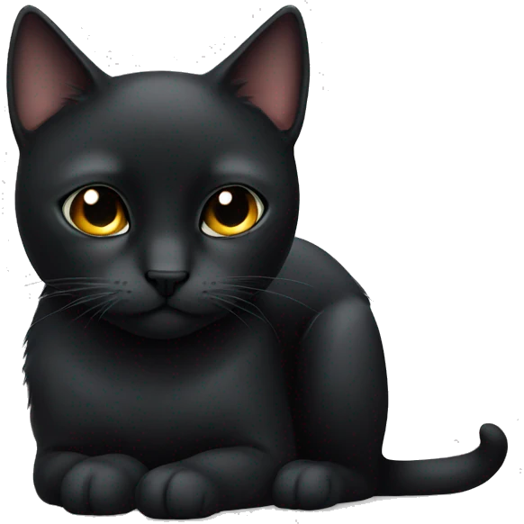 black cat with just on eye emoji