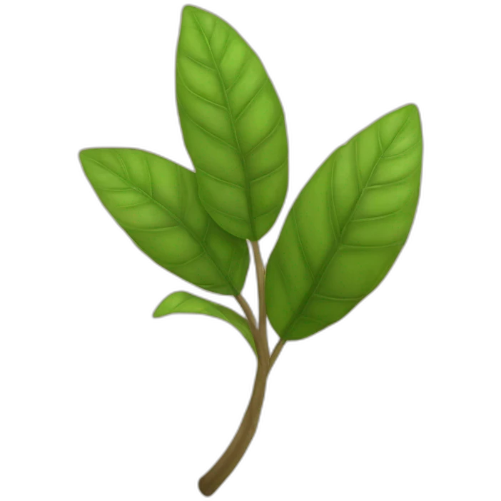 yerba mate emoji
