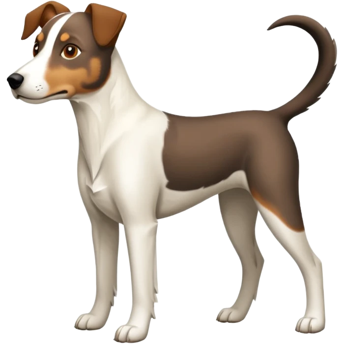 a full body large white floppy eared parson russell looking dog the size of a kelpie with light brown ears and a light brown patch on one eye and a large snout emoji