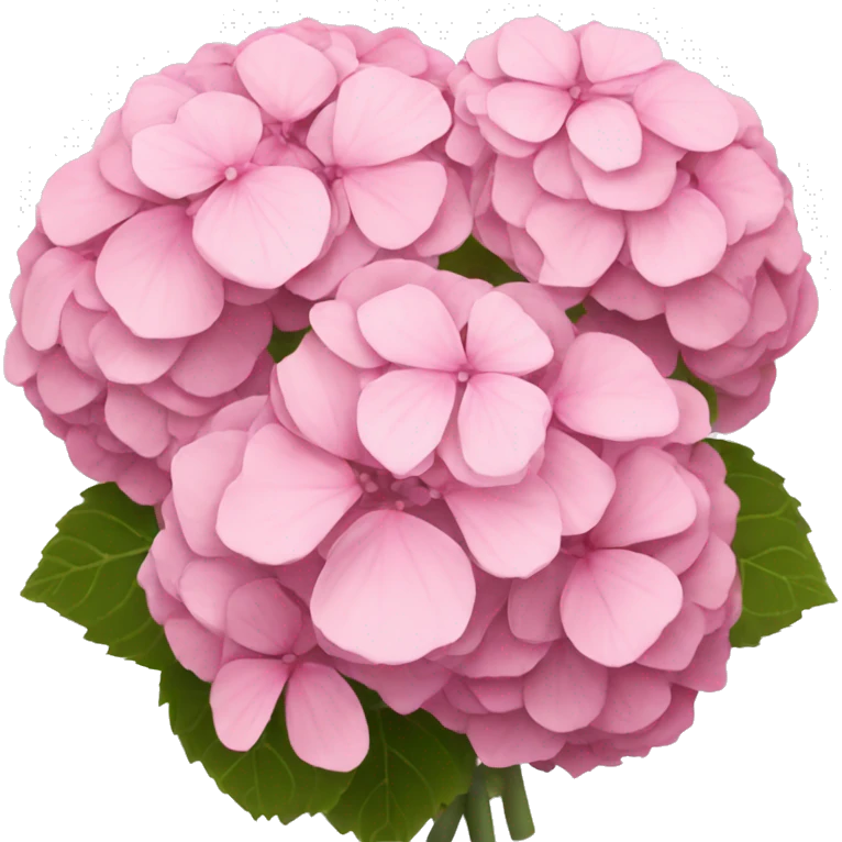 Pink hydrangeas bouquet  emoji