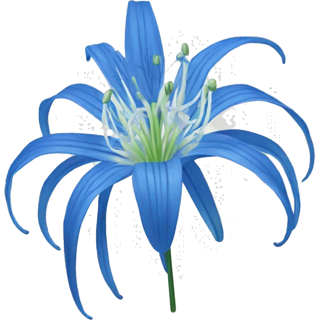 Blue spider lily emoji