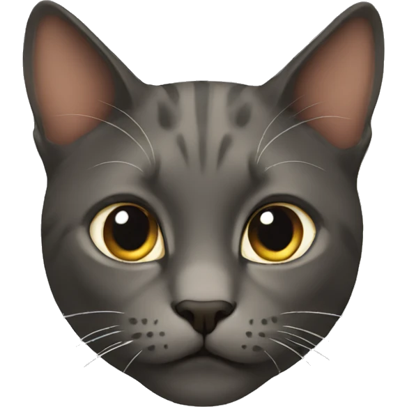 cat emoji