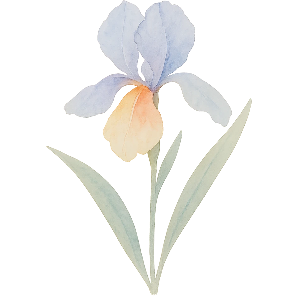 iris flower with stem and leaves, luminous colors, gentle blending, realistic botanical illustration emoji