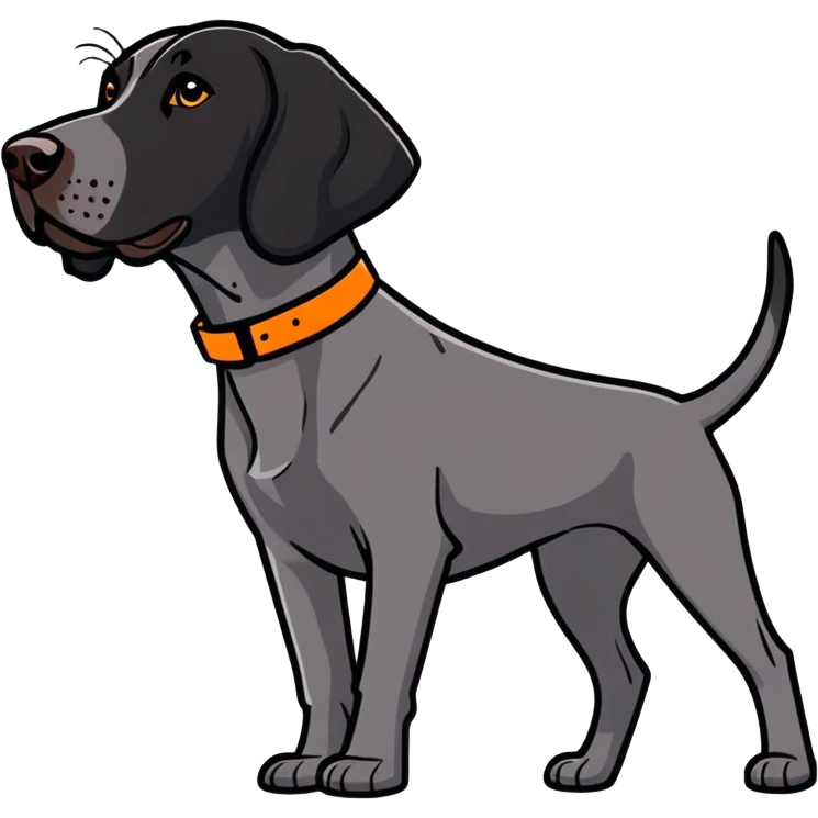 black german shorthair pointer with a orange collar hunting emoji