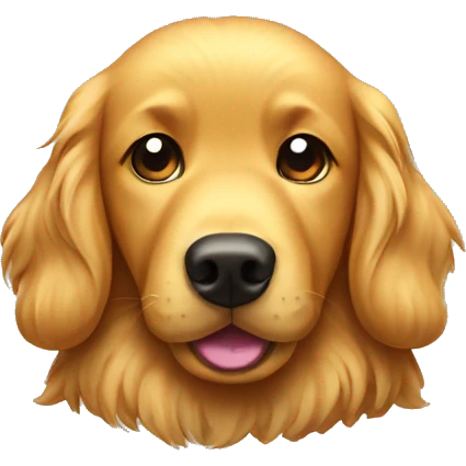 golden retriever doing a large poop emoji