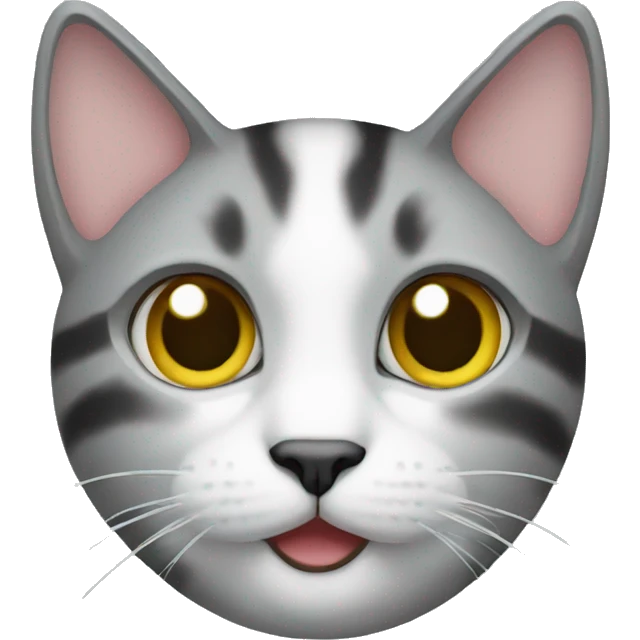 Cat camera emoji