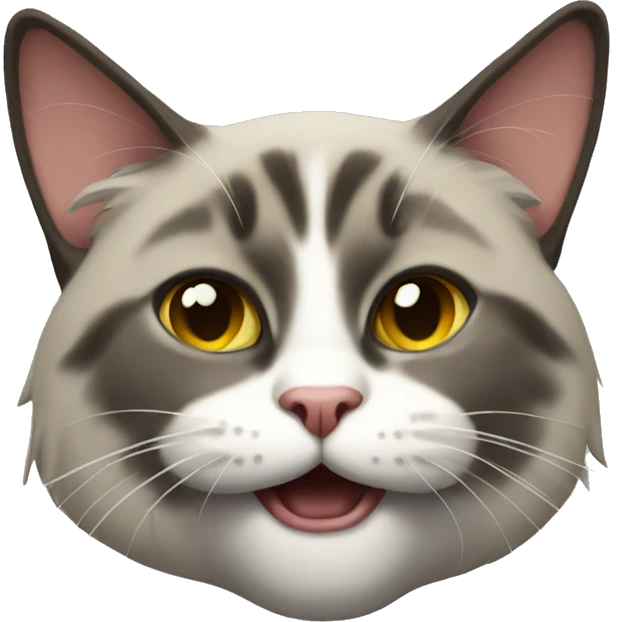 Radical cat emoji