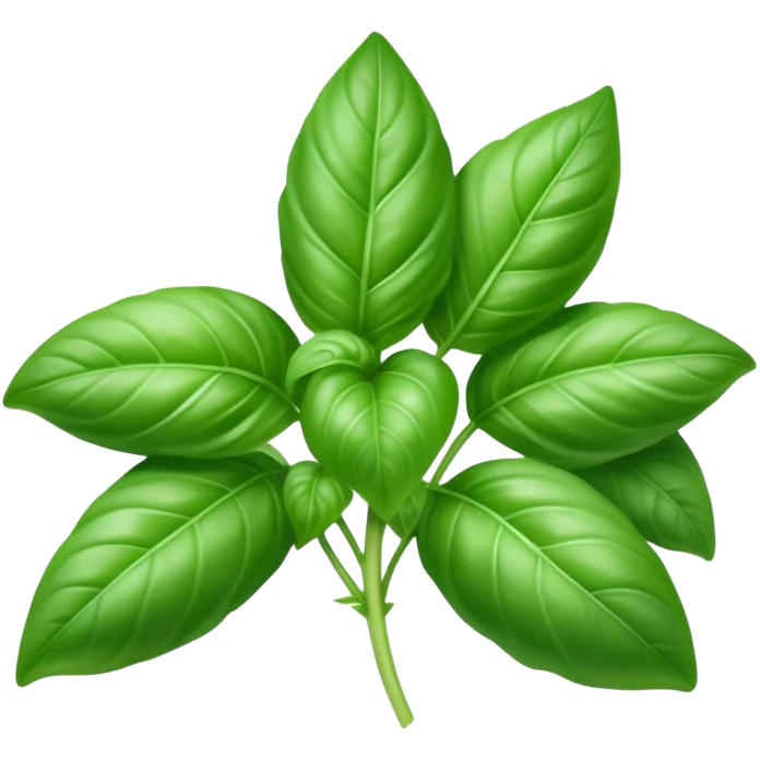 Cinematic Realistic Basil Emoji, Lush and fragrant, with vibrant green leaves that release a fresh, herbal aroma. The soft, glossy leaves are delicately arranged along slender stems, exuding vitality and flavor. Soft glowing outline, capturing the essence of freshness, growth, and aromatic delight in a blossoming basil plant! emoji