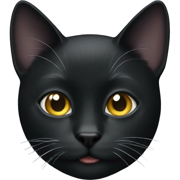 black cat with white spot emoji