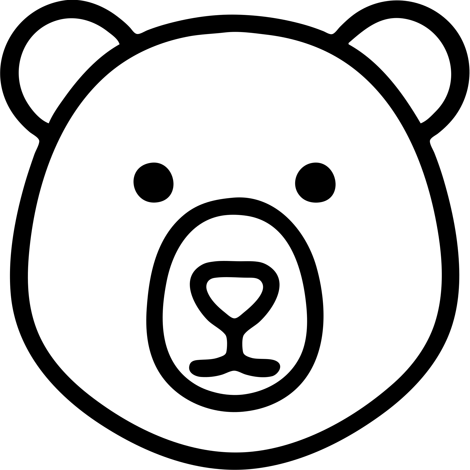 Bear, minimalist bear face icon emoji