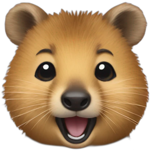 Quokka han emoji