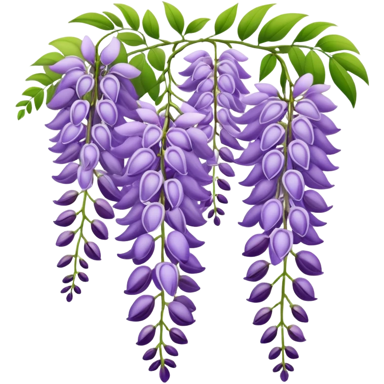 Elegant wisteria flower with cascading purple racemes hanging down and small green leaves emoji