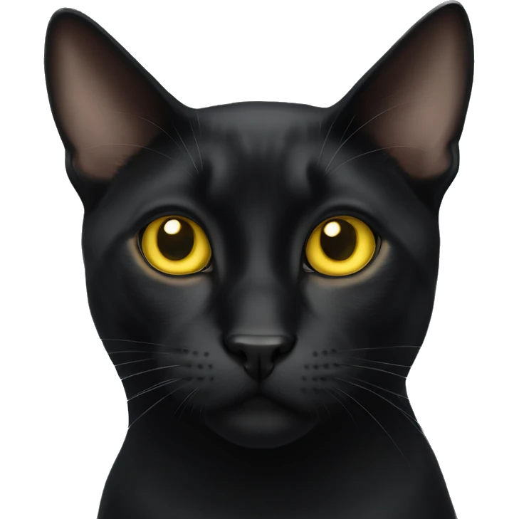 Bombay cat with yellow eyes emoji