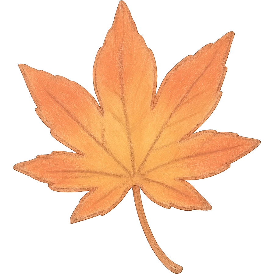 a maple leaf, Japanese soft pastel hand-drawn, full object, transparent background, with gentle highlights emoji