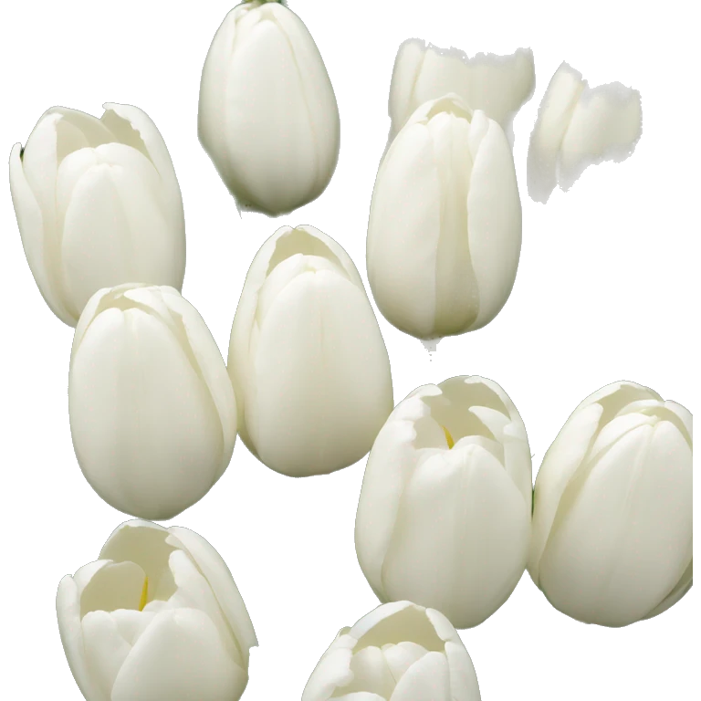 White tulips emoji