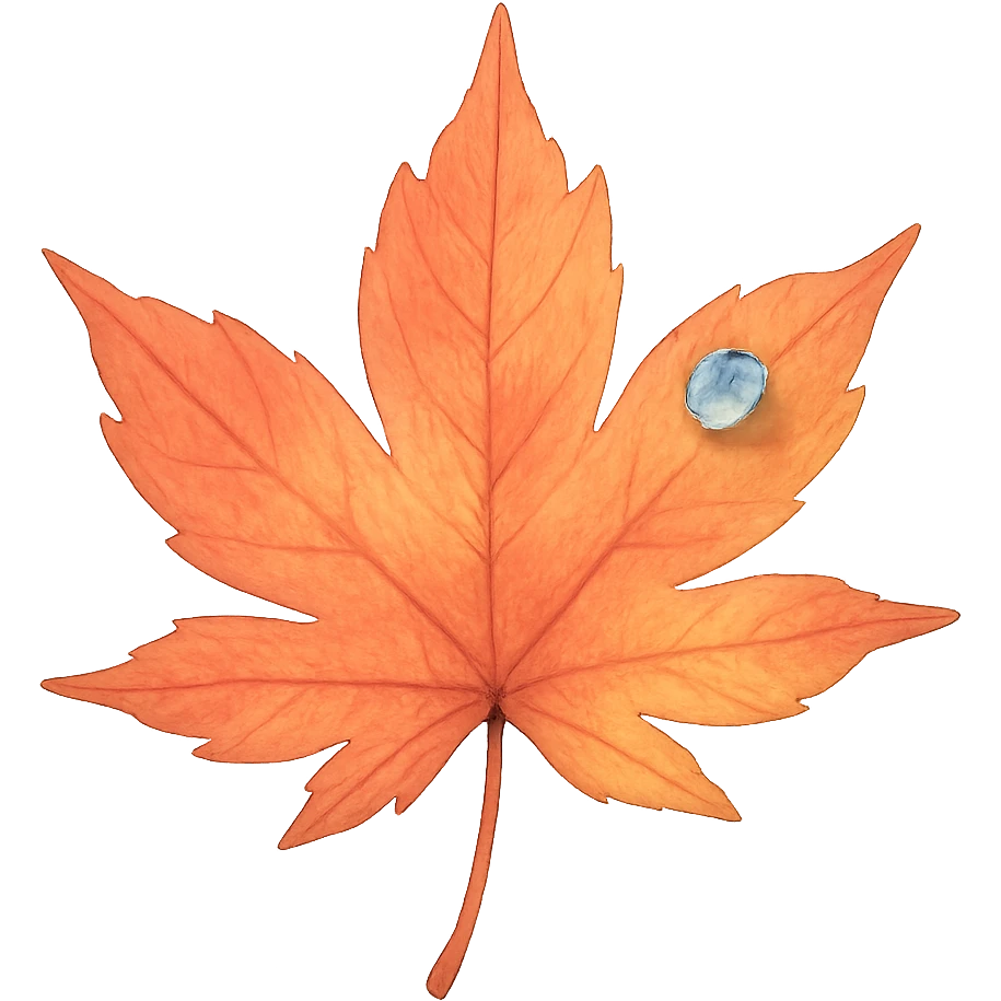 a maple leaf, Japanese soft pastel hand-drawn, full object, transparent background, with a tiny dew drop emoji