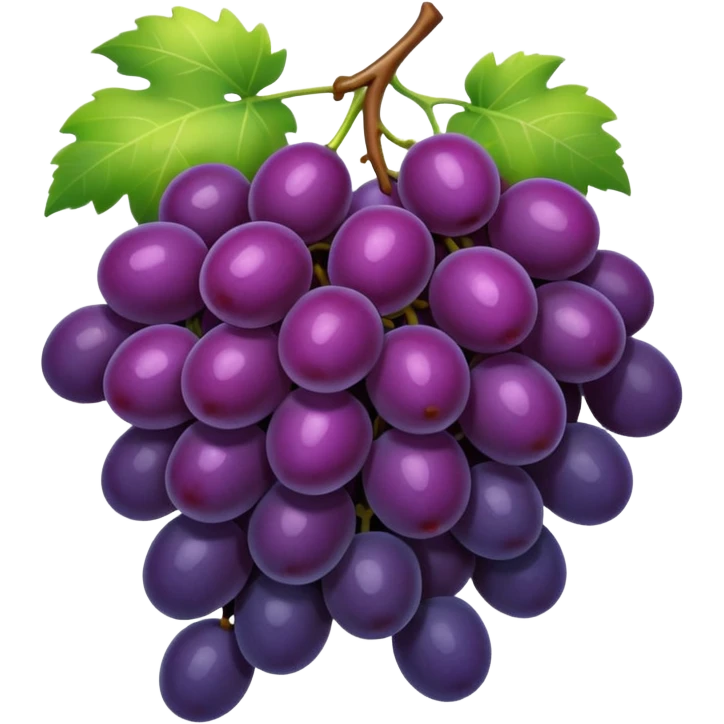 dark grapes emoji