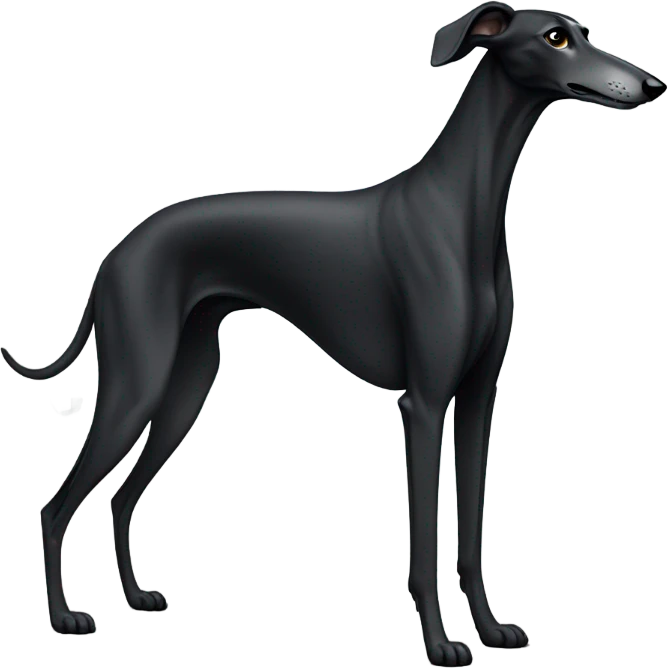 Black greyhound emoji