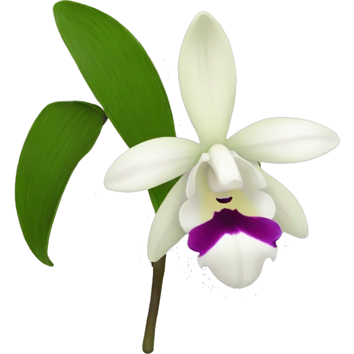 Dendrobium emoji