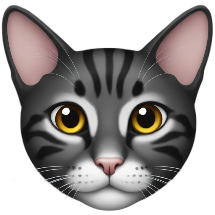 cat black emoji