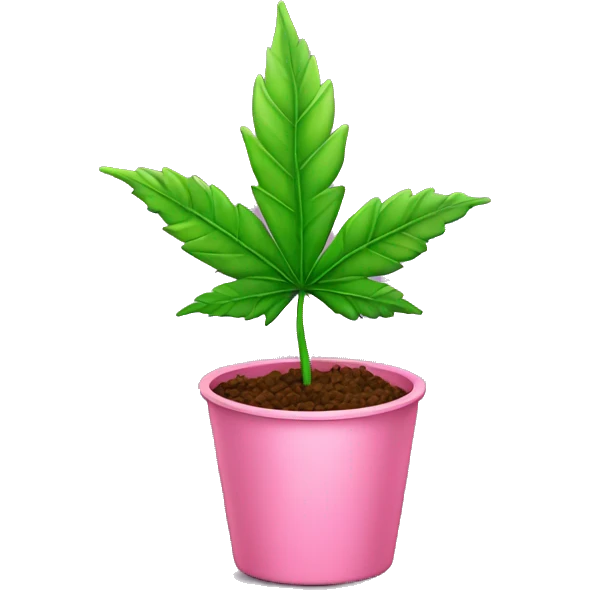 Pink pot leaf emoji