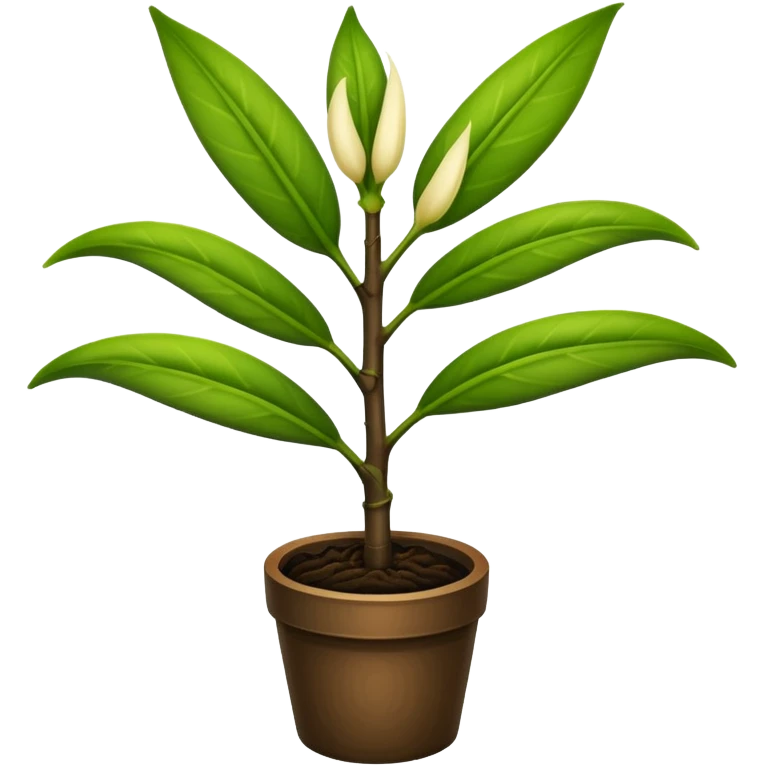 Planta de vainilla emoji