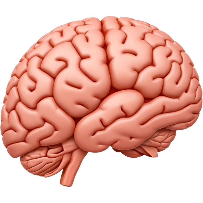 "Realistic 3D human brain emoji, detailed neural folds, soft reflections, glossy texture, subtle shadows, rounded friendly emoji shape, high resolution, transparent background" emoji