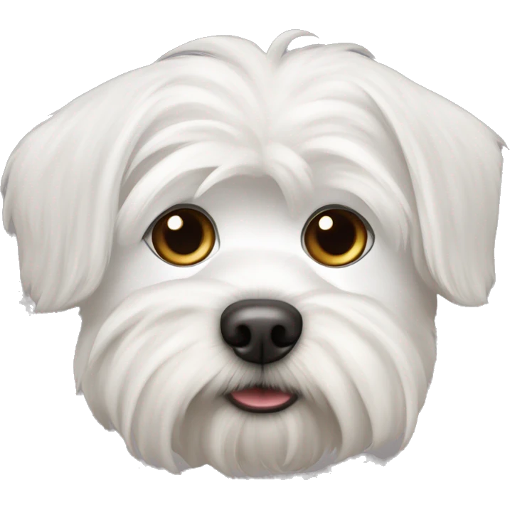 A white Maltese dogs with pointy ears  emoji