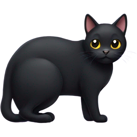 Black cat emoji